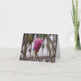Magnolienkarte Feiertagskarte