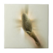 Magnolienknospe Fliese (Vorderseite)