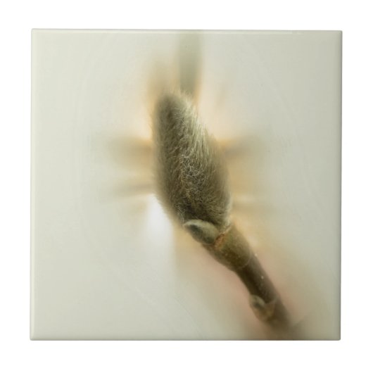 Magnolienknospe Fliese (Vorderseite)