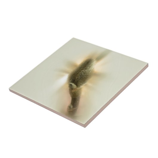 Magnolienknospe Fliese (Seite)