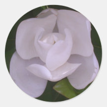 Magnoliensticker