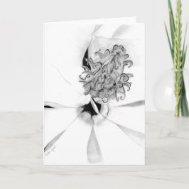 Magnolienzentrum Karte