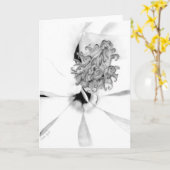 Magnolienzentrum Karte (Gelbe Blume)