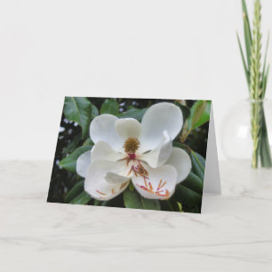 Magnolische Blume Karte