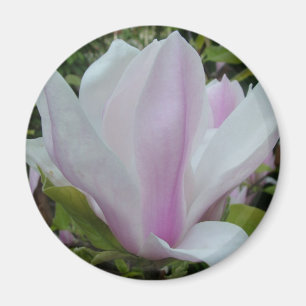 magnolische Blume Magnet