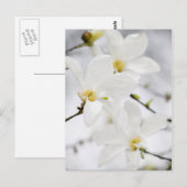 Magnolische Blume Postkarte (Vorne/Hinten)