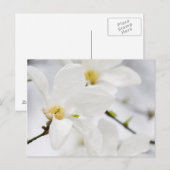 magnolische Blume Postkarte (Vorne/Hinten)