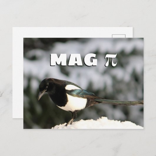 Magpi Postkarte (Vorne/Hinten)