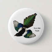 Magpie, Audubon, amerikanischer Vogelbeobachter, Button (Vorderseite)