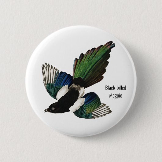 Magpie, Audubon, amerikanischer Vogelbeobachter, Button (Vorderseite)