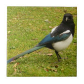 Magpie Fliese (Vorderseite)