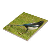 Magpie Fliese (Seite)