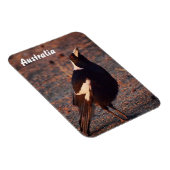 Magpie-Foto-Magnet Magnet (Rechte Seite)