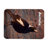 Magpie-Foto-Magnet Magnet (Horizontal)