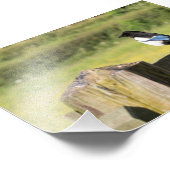 Magpie Fotodruck (Ecke)
