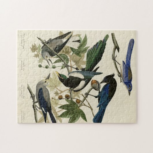 Magpie Jay & Nutcracker Audubon Birds of America Puzzle (Horizontal)