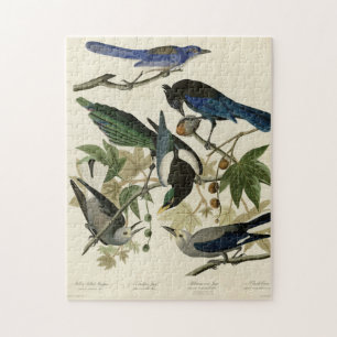 Magpie Jay & Nutcracker Audubon Birds of America Puzzle