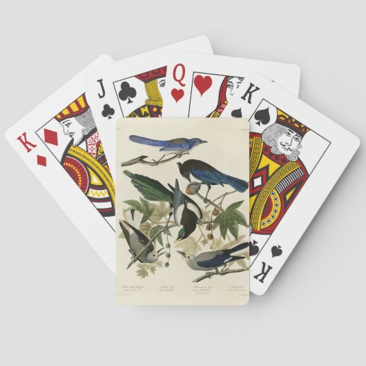 Magpie Jay & Nutcracker Audubon Birds of America Spielkarten (Rückseite)