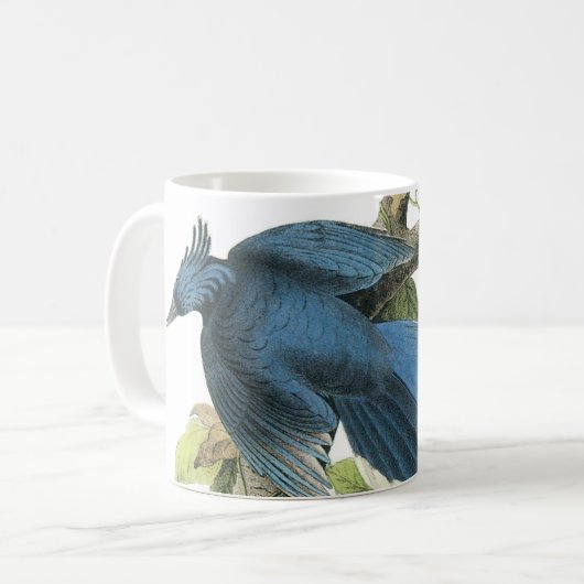 Magpie Jay von Audubon Kaffeetasse (Vorderseite Links)