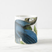 Magpie Jay von Audubon Kaffeetasse (Mittel)
