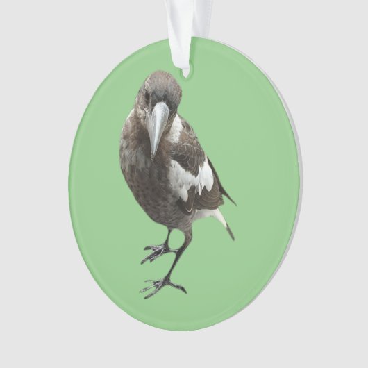 Magpie Ornament (Vorderseite)