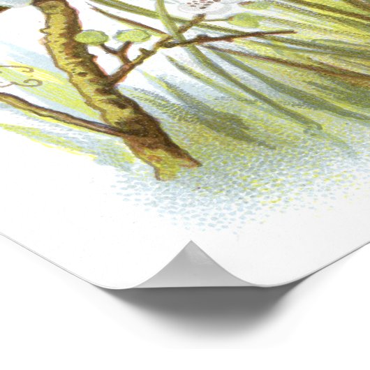 Magpie Poster (Ecke)