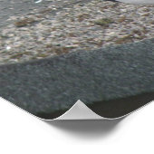 Magpie Poster (Ecke)