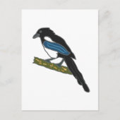 Magpie Postkarte (Vorderseite)