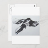 Magpie Postkarte (Vorne/Hinten)