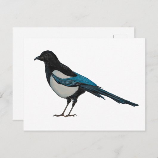 Magpie Postkarte (Vorne/Hinten)