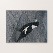 Magpie Puzzle (Horizontal)