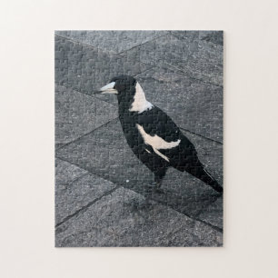 Magpie Puzzle