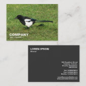 Magpie Visitenkarte (Vorne/Hinten)