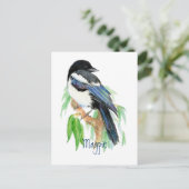 Magpie, Vogel, Garten, Natur, Wildnis Postkarte (Stehend Vorderseite)