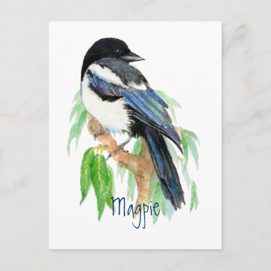 Magpie, Vogel, Garten, Natur, Wildnis Postkarte (Vorderseite)
