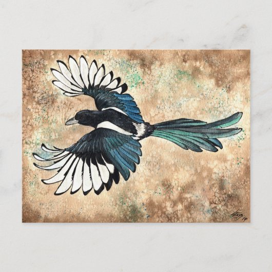 Magpie Watercolor Postkarte (Vorderseite)