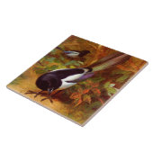 Magpies Fliese (Seite)