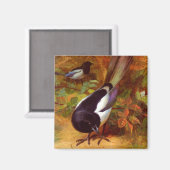 Magpies Magnet (Vorderseite/Rückseite)
