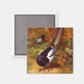 Magpies Magnet (Vorderseite/Rückseite)