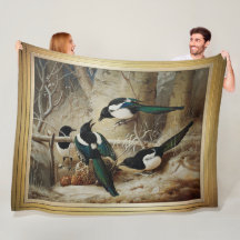 Magpies Rund um eine tote Capercaillie