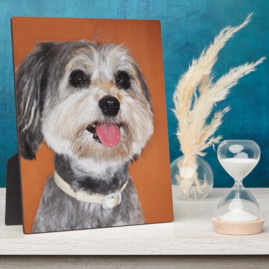 Magyar Vizsla Dog Fotoplatte (Seite)