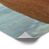 Magyar Vizsla Dog Poster (Ecke)