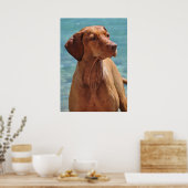 Magyar Vizsla Dog Poster (Küche)