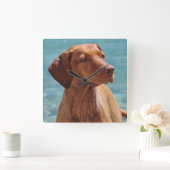 Magyar Vizsla Dog Quadratische Wanduhr (Zuhause)