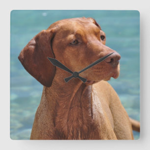 Magyar Vizsla Dog Quadratische Wanduhr