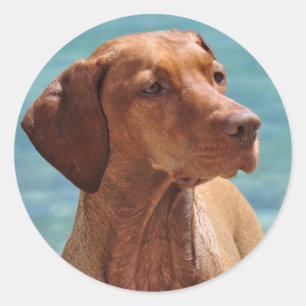 Magyar Vizsla Dog Runder Aufkleber