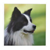 Magyar Vizsla Fliese (Vorderseite)