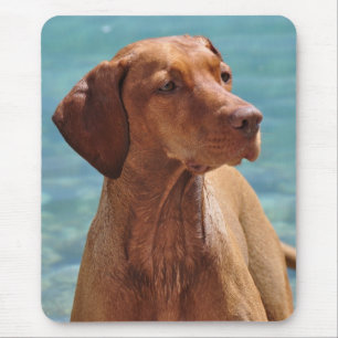 Magyar Vizsla Hund Mousepad