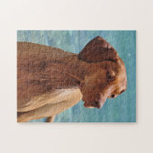 Magyar Vizsla Hund Puzzle (Horizontal)