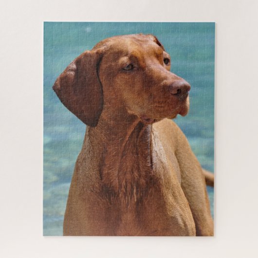 Magyar Vizsla Hund Puzzle (Vertikal)